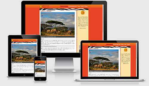 Website design that adapts to the size of the device it's displayed on
