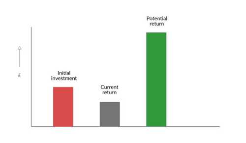 Getting a decent return on the investment made in a website or online shop