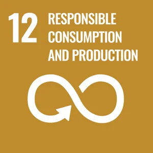 UN SDG Goal 12 - Responsible Consumption and Production